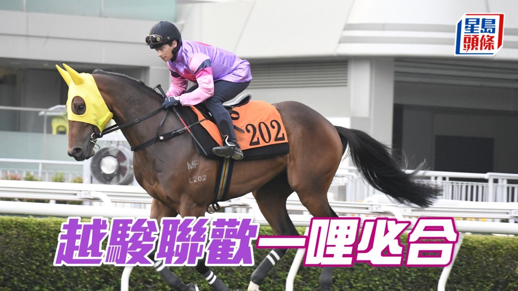 「越駿聯歡」血統有長力，初跑谷草一哩要重視。