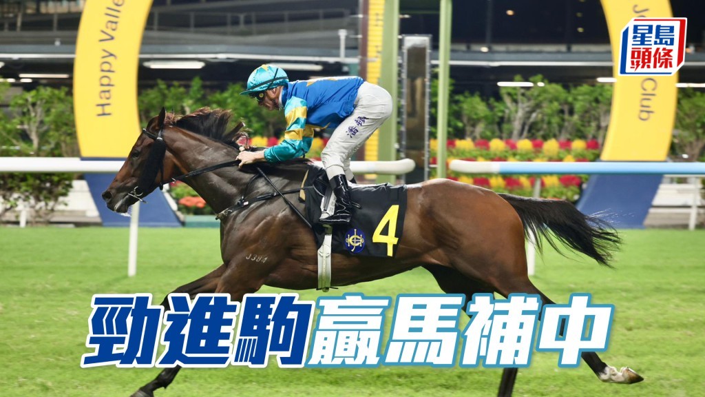 「勁進駒」贏馬補中