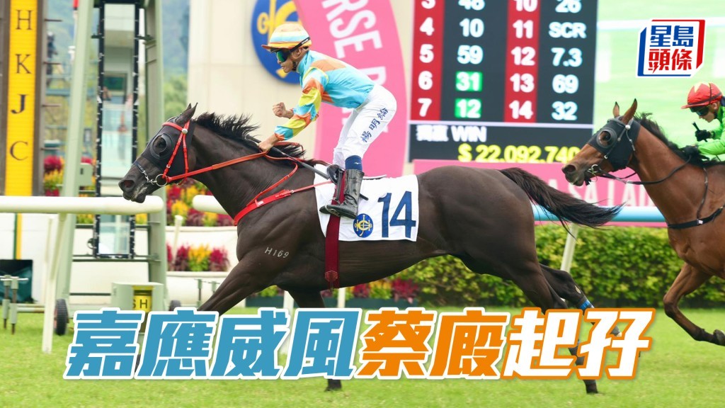 「嘉應威風」蔡廄起孖