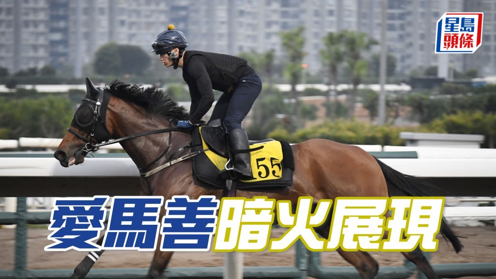 「愛馬善」步順爽勁神態暢旺，狀態仍勇毫無疲態。