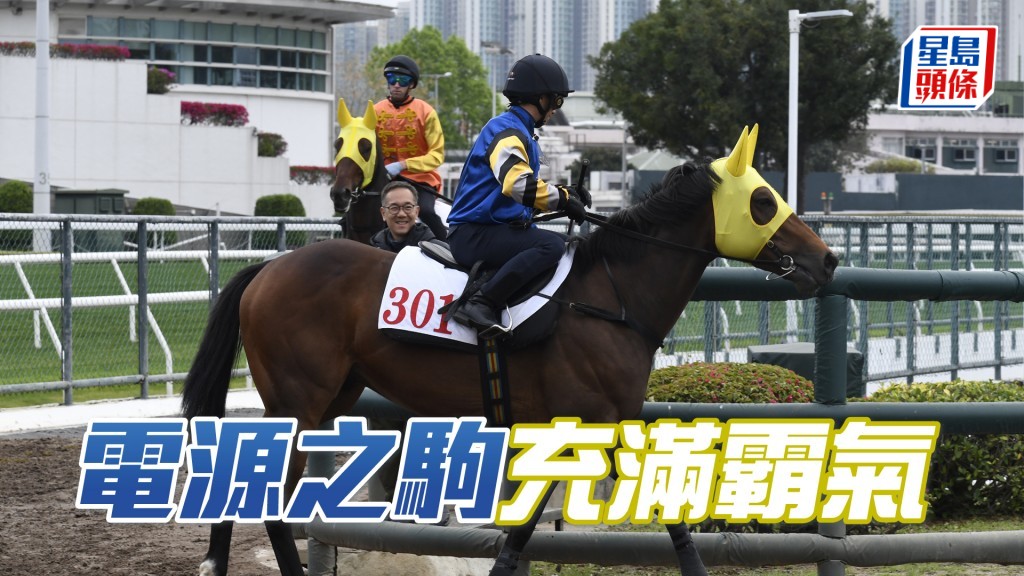 「電源之駒」目光銳利神生步爽，勇況保持有餘。