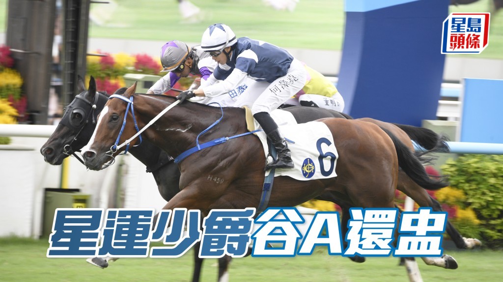 「星运少爵」强配兼有形势帮助，有力补中。