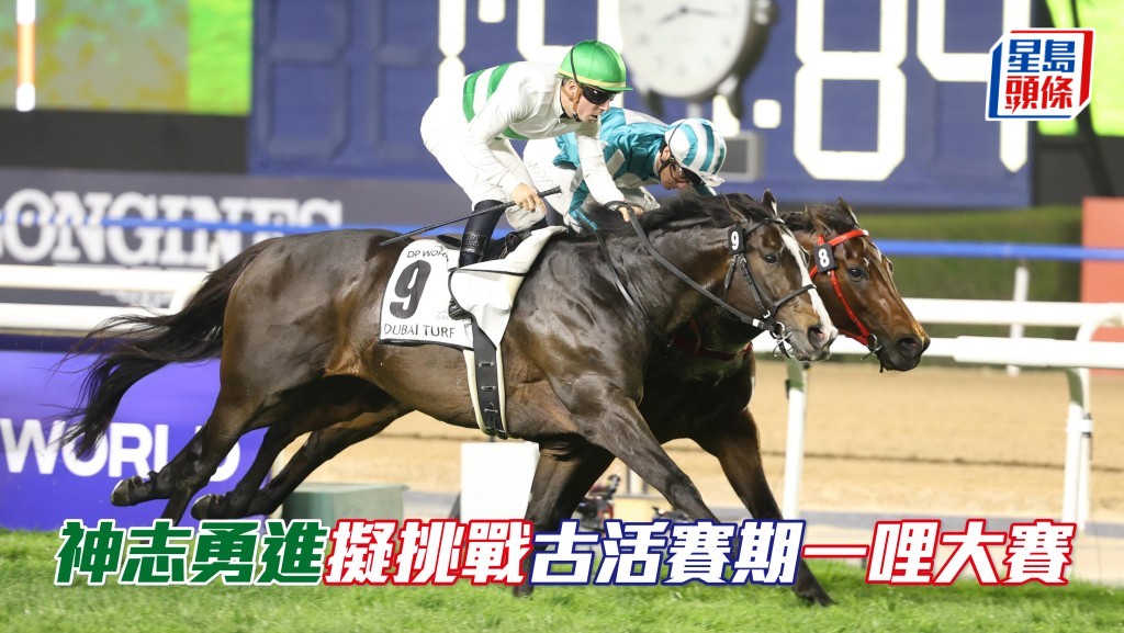 「神志勇進」(外) 已報名參加七月三十日古活馬場舉行，途程為千六米的薩塞克斯錦標。