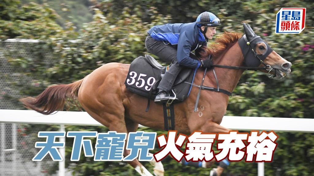 「天下宠儿」身壮呈现条线美，操足蓄势待发。