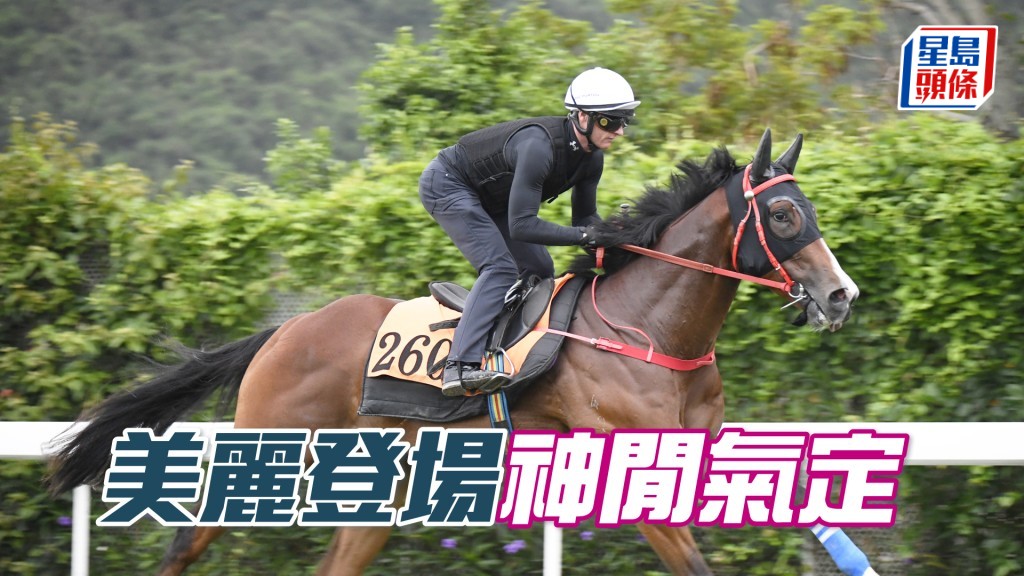 「美麗登場」跑姿順暢落腳輕巧，態勇且不斷進步。