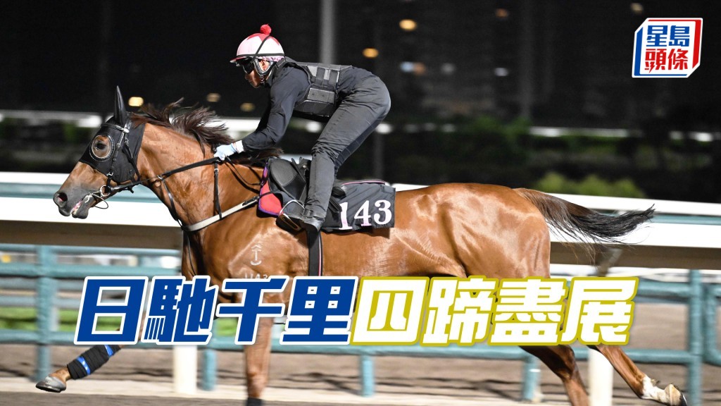 「日馳千里」外觀討好身壯色潤，勇態保持有餘。