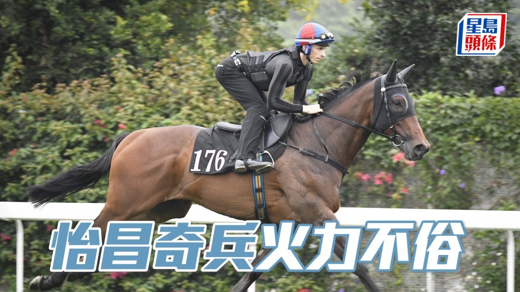 「怡昌奇兵」神色活躍朝氣勃勃，充滿好感。