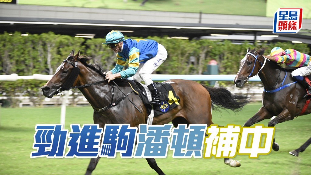 「勁進駒」落班即強配潘頓，必定拼盡。