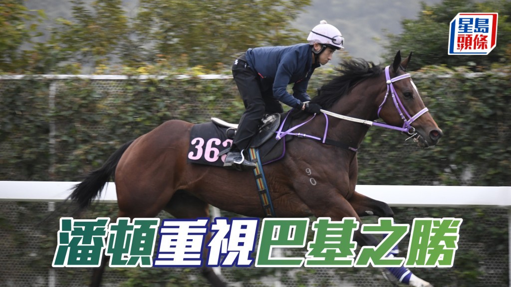「巴基之勝」賽前有八課大閘都是由潘頓經手。
