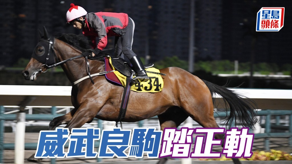 「 威武良駒」踏正軌