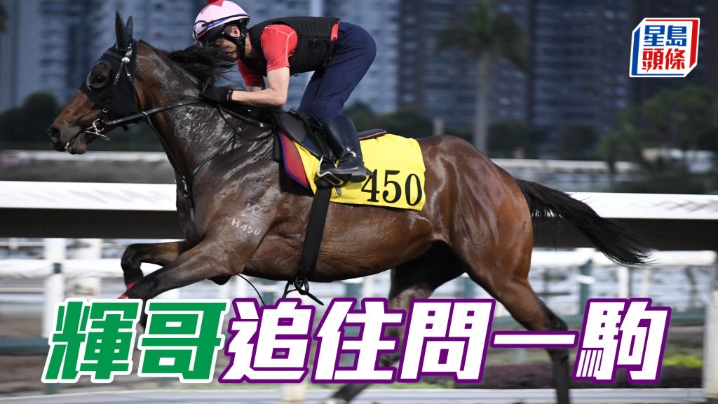 今朝「勁大威猛」(圖) 課後姚本輝又去隧道接馬,更吸引是跟住馬匹回程時候,沿途向鞍上人追問。