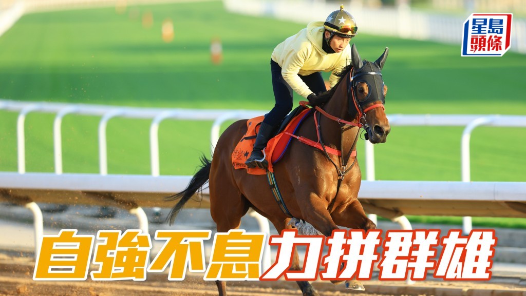 維雅德泥地短途錦標 「自強不息」力拼群雄