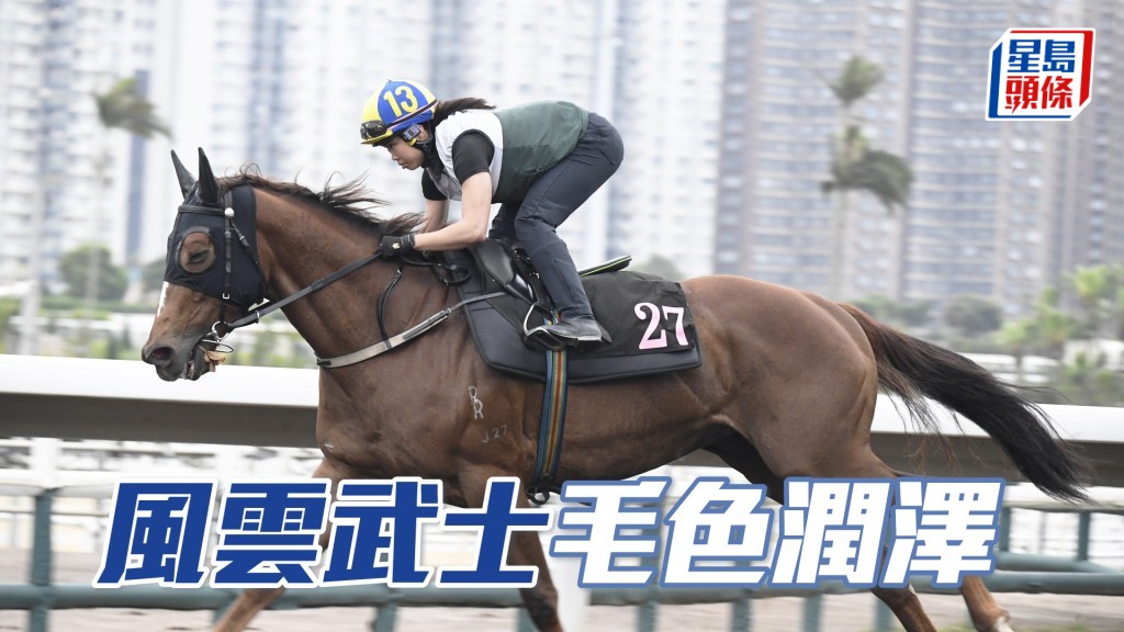 「風雲武士」按住走得唔快，力度唔錯馬身壯健。