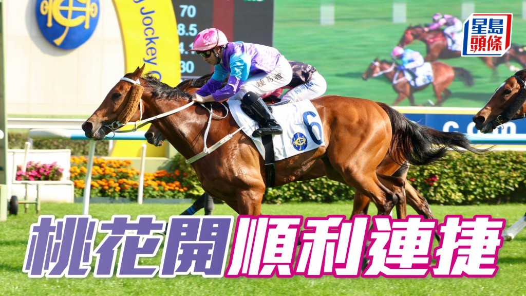 馬場密探048｜「桃花開」順利連捷