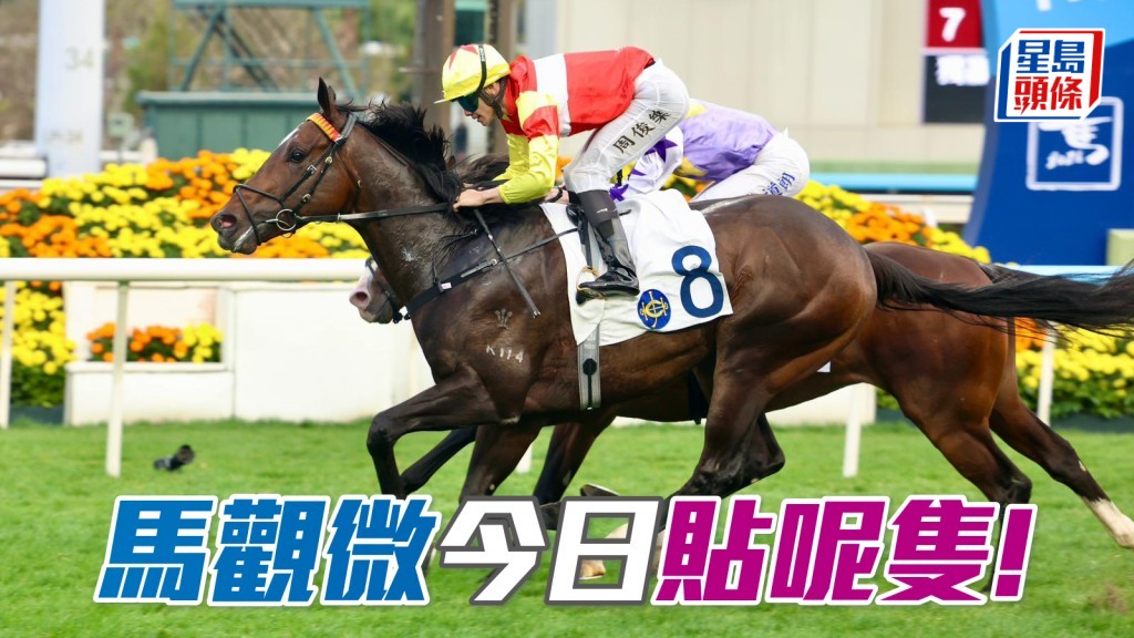 「一生好彩」埋齋意廖