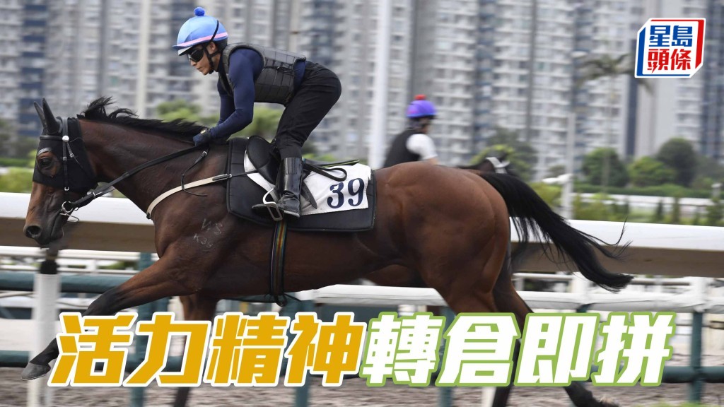 「活力精神」轉倉即拼