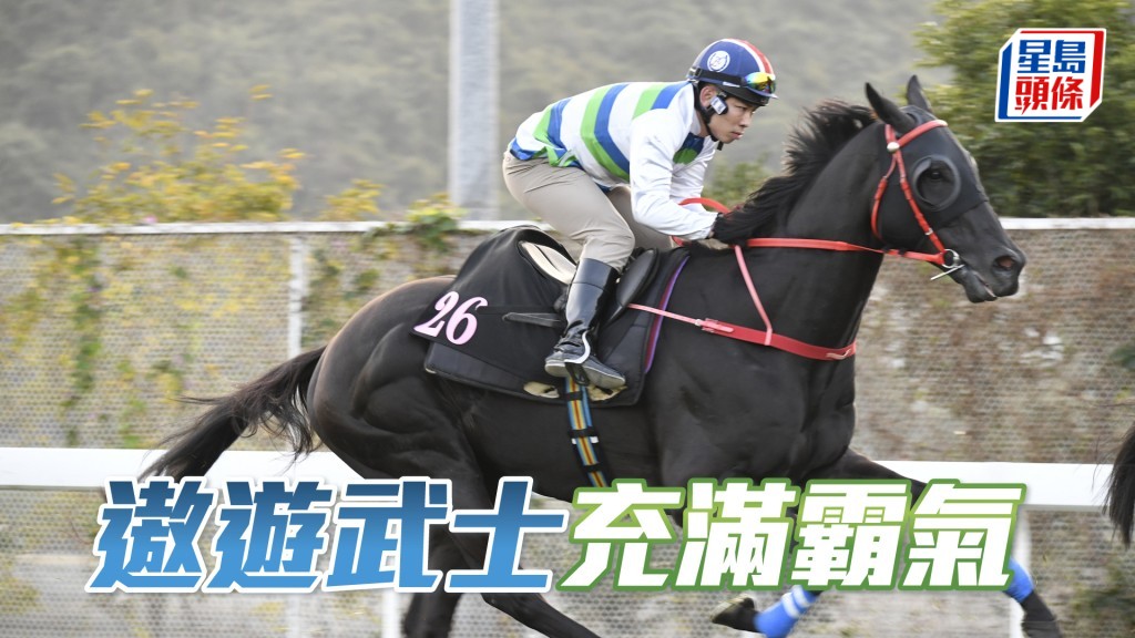 「遨遊武士」神生步爽，勇態保持有餘。