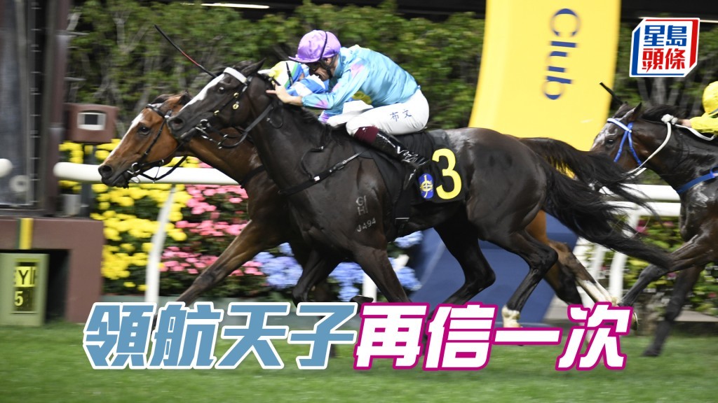 「領航天子」上季578場次不停轉跑線也贏馬，值得再追。