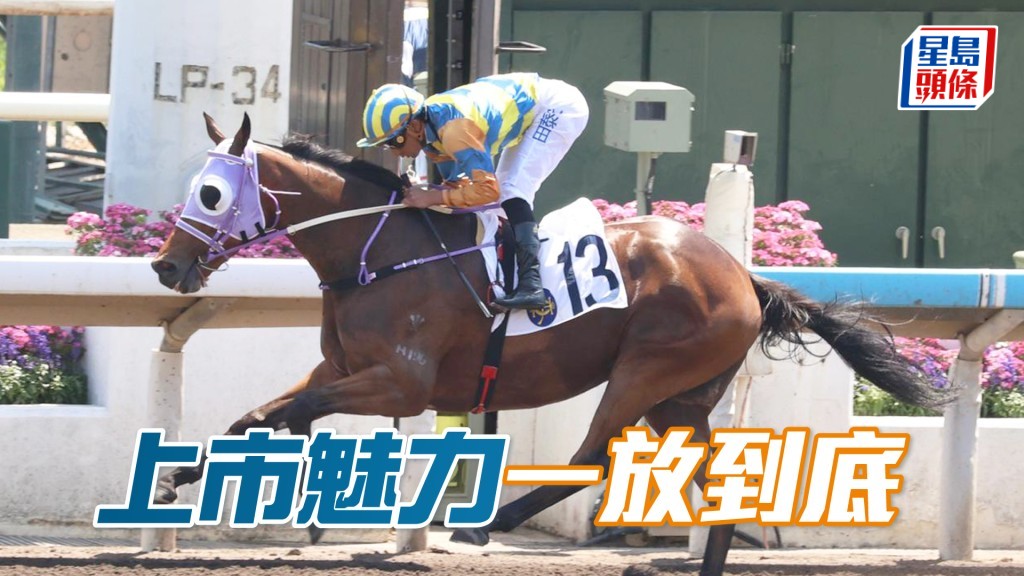 「上市魅力」一放到底