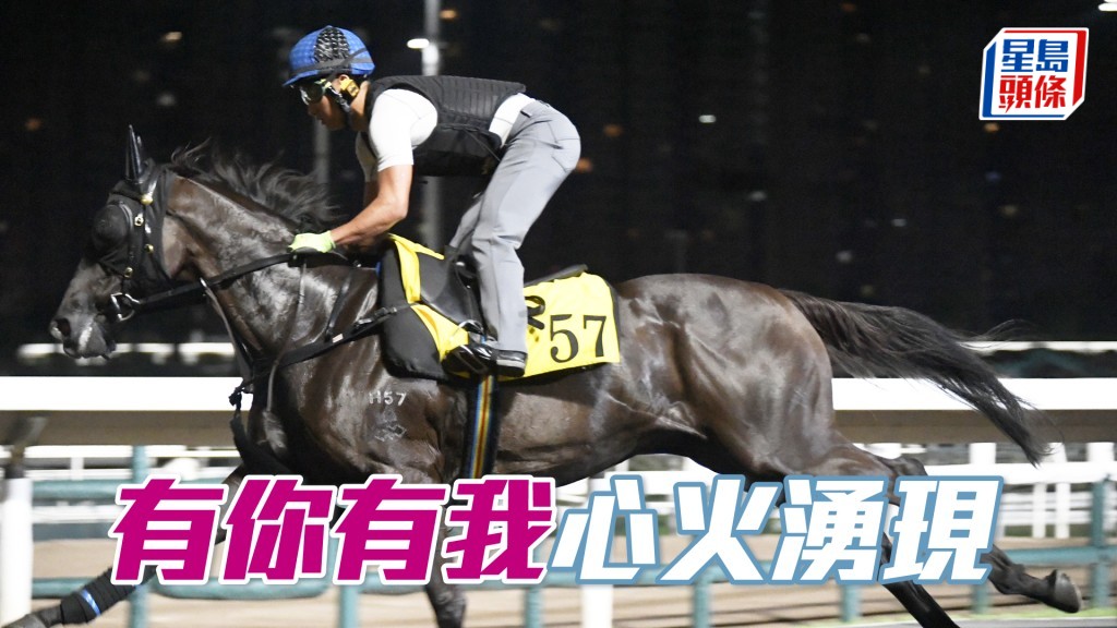 「有你有我」雙目炯炯有神，單講狀態相當勇銳。
