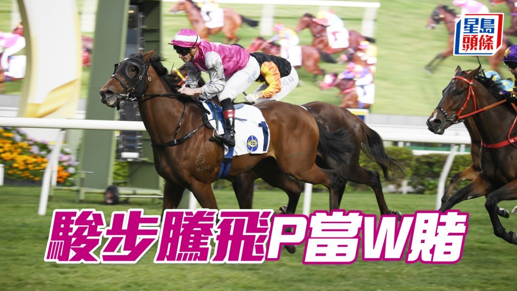 「駿步騰飛」近期跑千四有進步,今場賠率遠比「光年魅力」好分,相對值博。
