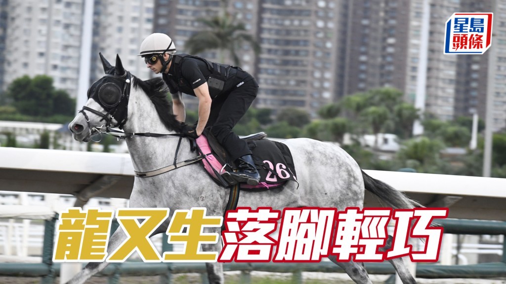 「龍又生」愈見收斂神閒氣定，朝氣勃勃上佳水準。