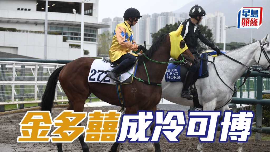 「金多囍」有過一仗經驗後，今仗可憧憬有更好發揮，排四檔亦會較近仗主動，成冷可博。