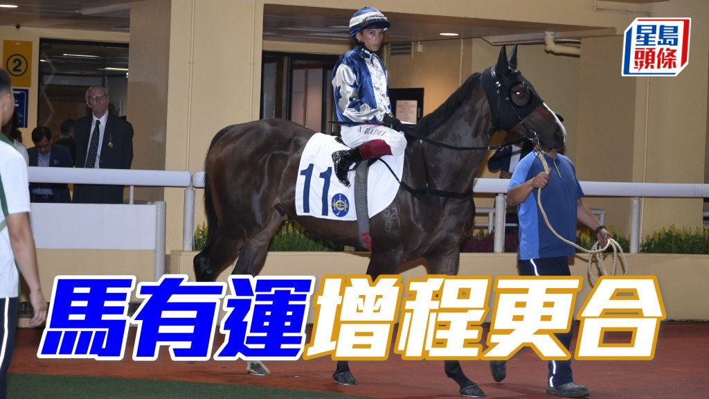 「马有运」季尾一役在逆境下追回季军，确认跑中距离较短途更具威力，且看下季如何部署。