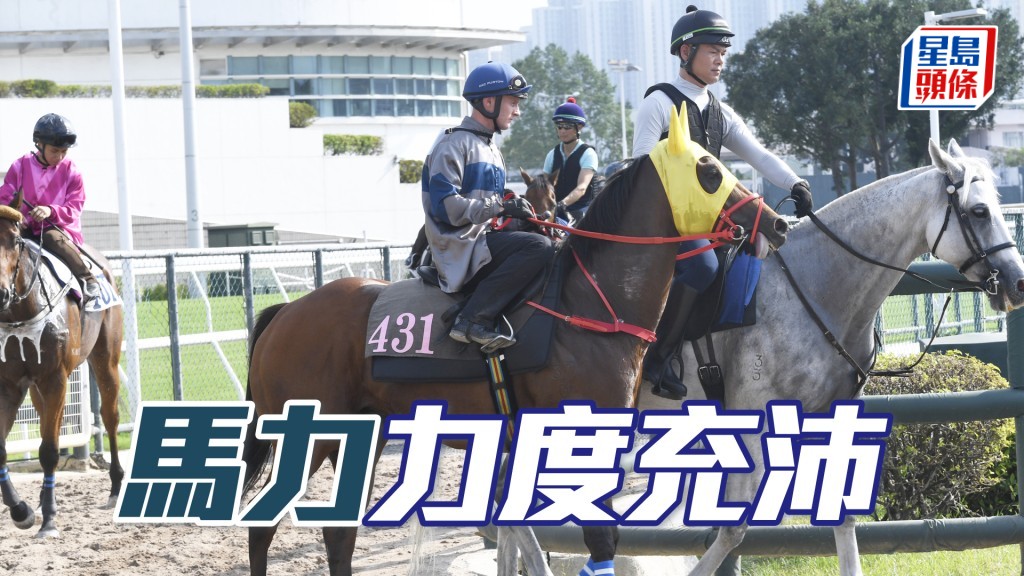 「馬力」一貫搶走心火湧現，操足而臨已在水準。
