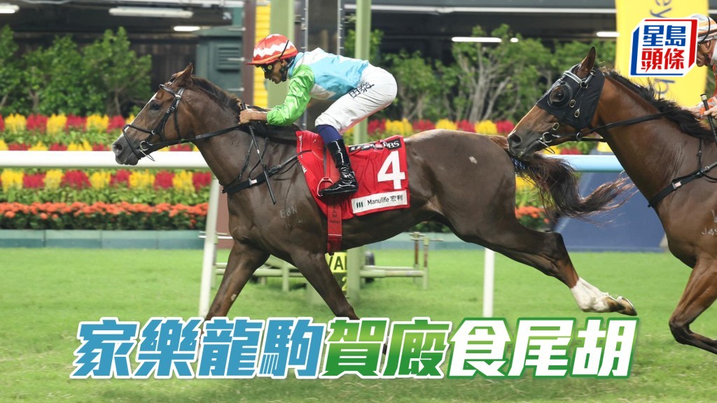 「家樂龍駒」賀廄食尾胡