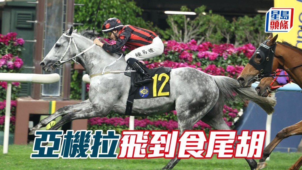 「亚机拉」飞到食尾胡