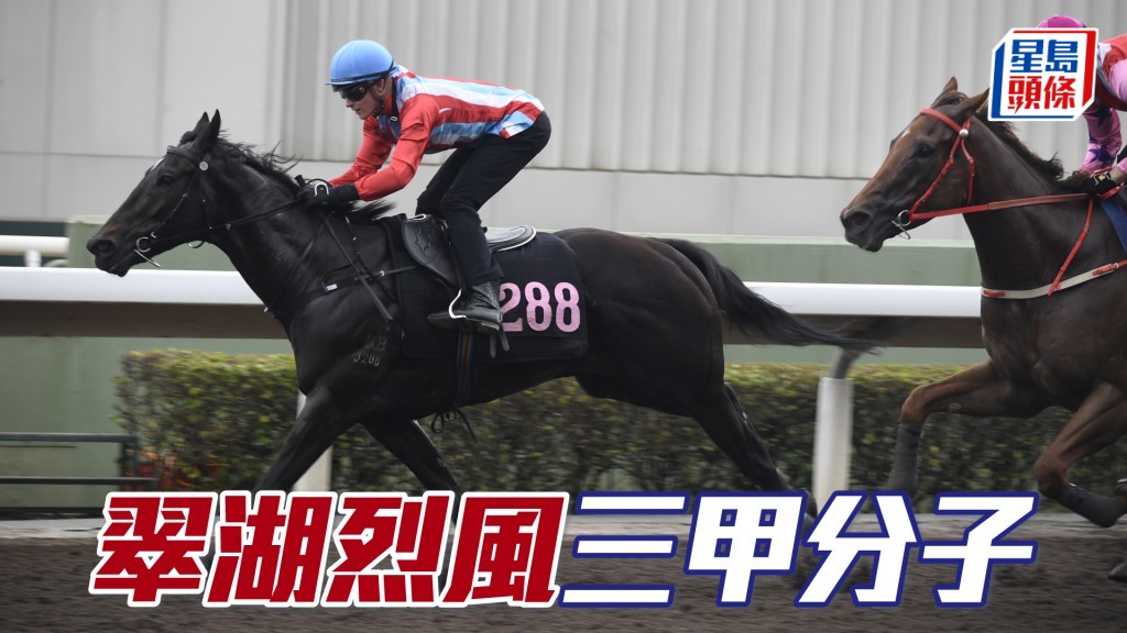 「翠湖烈風」狀態和成熟程度持續進步，有力走入三甲。