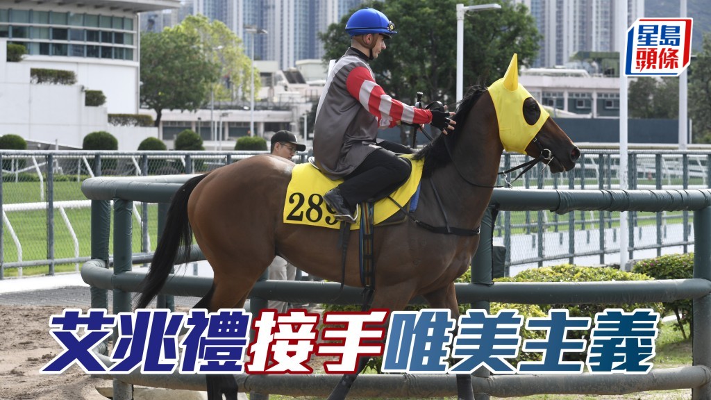 「唯美主義」(圖) 在港獲得的四場頭馬,都是由潘頓建功,今次由艾兆禮接手,上季此馬曾配艾兆禮上名,人馬亦合拍。