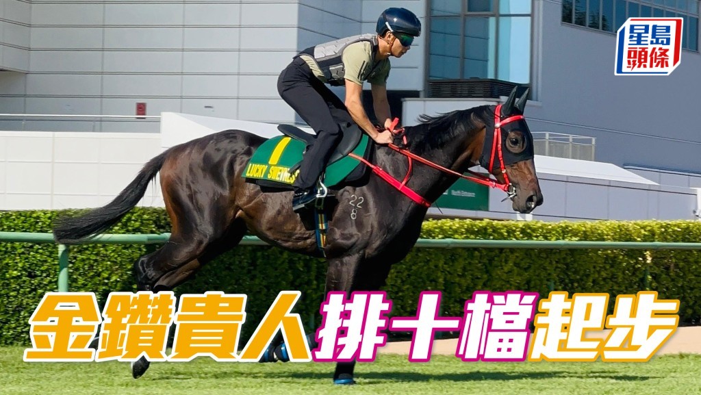  「金鑽貴人」(圖) 將於周日在日本中山競馬場，出戰千二米一級賽短途馬錦標，這匹短途良駒今仗抽得十檔起步。