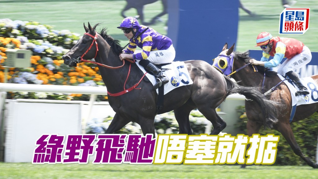 「綠野飛馳」性能前後兼備，熱身後應可補中。