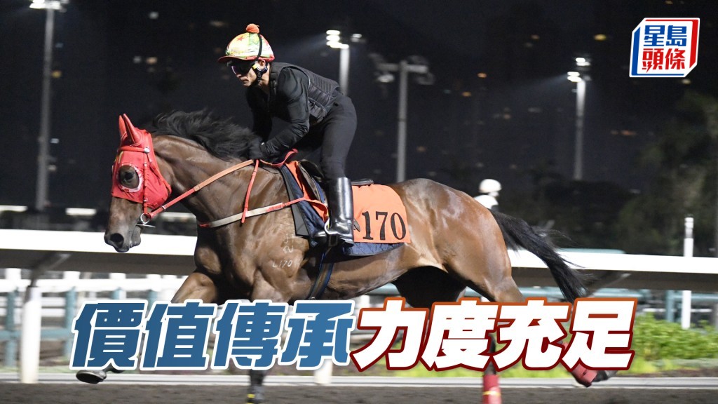 「價值傳承」神態自若，朝氣勃勃進度理想。