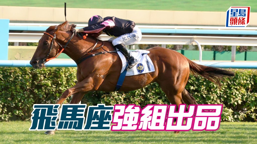 「飛馬座」上仗多駒再出都有好成績，這次轉戰谷草可補中。