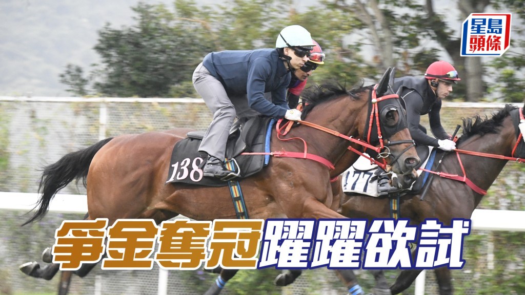 「爭金奪冠」暗火湧現，身靚色潤觀感勝前。