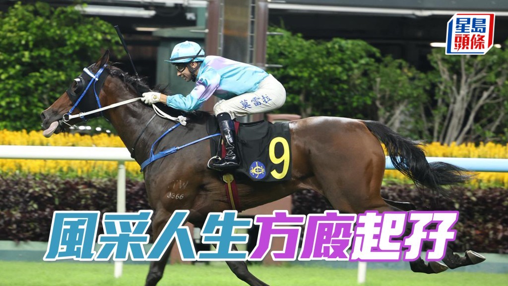 「风采人生」方厩起孖