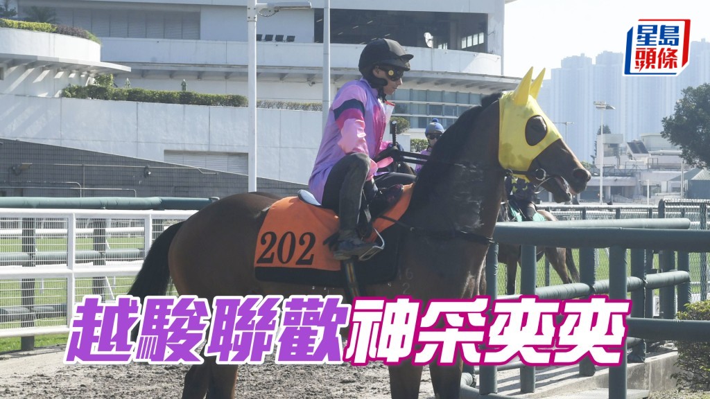 「越駿聯歡」落腳輕快彈力夠，贏完之後更醒神。