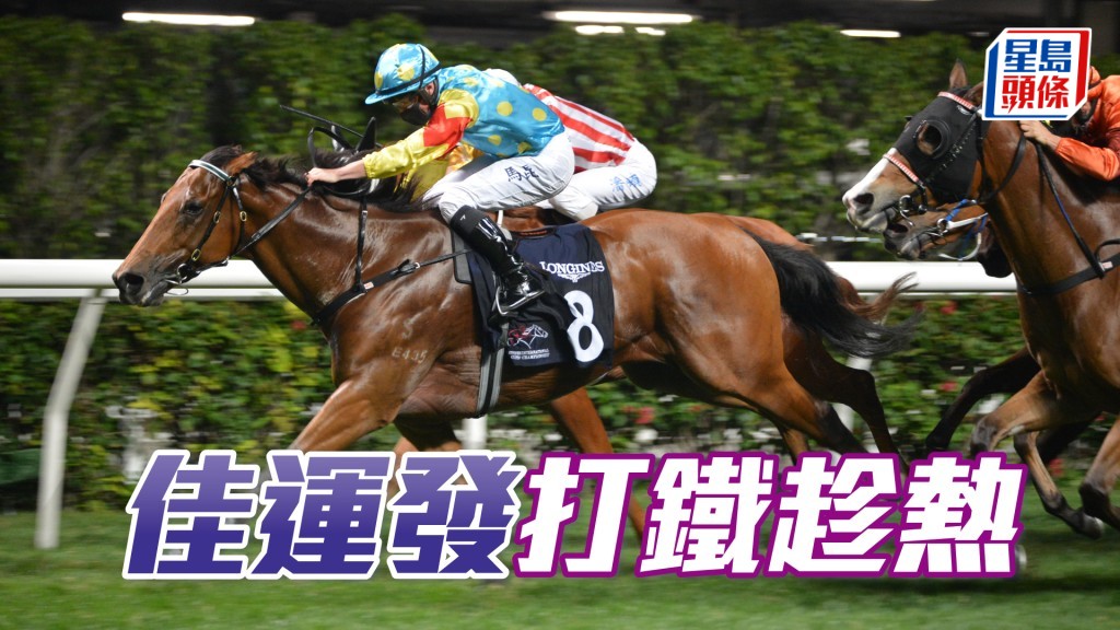 「佳運發」上仗能在強組跑贏了十二隻馬，此刻或有四班頂的爭勝實力。