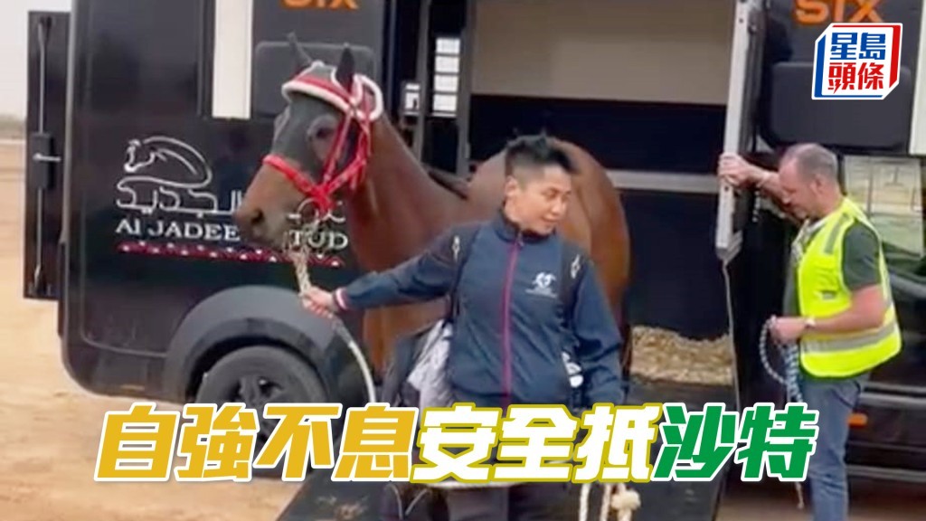「自强不息」今午已安全抵达沙特，稍事休息之后便会正式投入操练备战赛事。（相片来源：马主王宗彦提供）