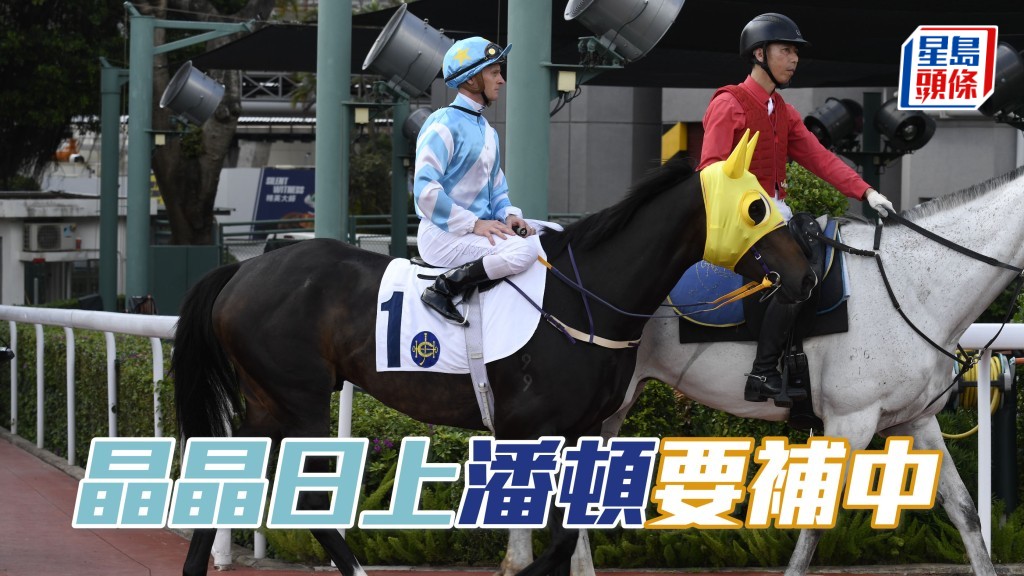 「晶晶日上」(圖) 今次續配潘頓,有力為這匹容廐馬收復前失。