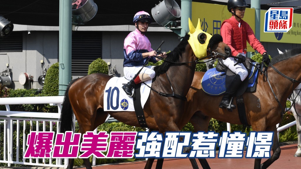 「爆出美麗」近期試閘走勢出色,今仗由潘頓策騎,可望較前進步。