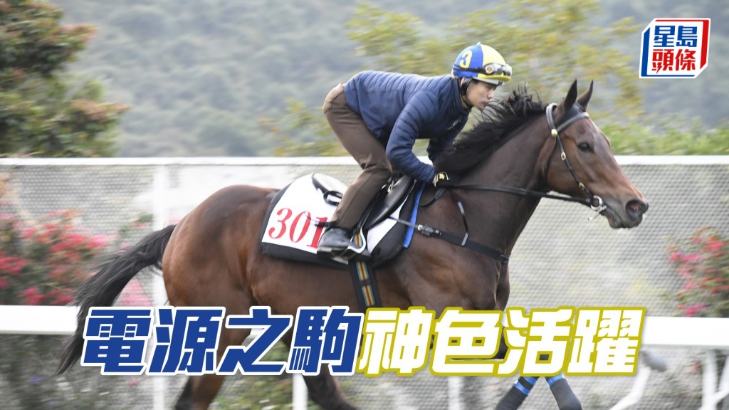 「電源之駒」試來精神爽利，步順輕快有彈力。