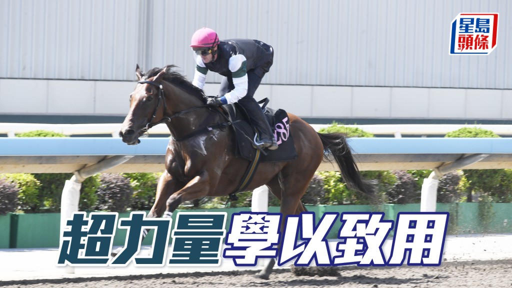 「超力量」復課由潘頓試閘,刻意教馬走直線,希望馬兒可學以致用。