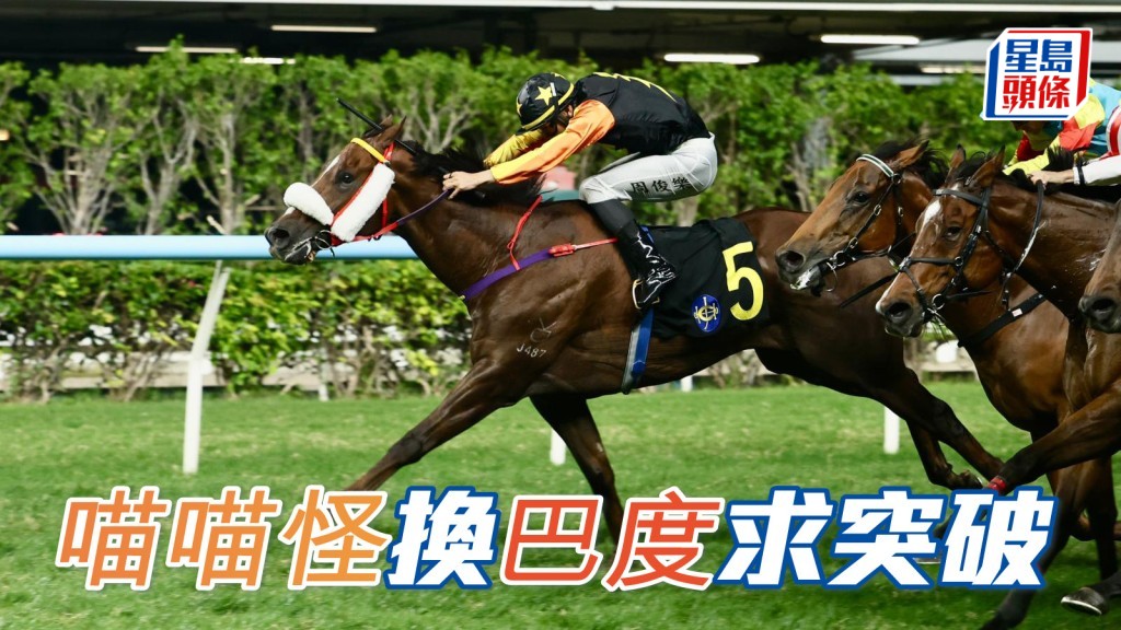 「喵喵怪」換巴度求突破