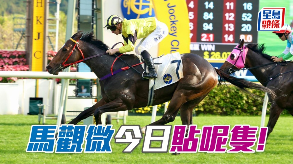 「岚臣」巫宝不乐