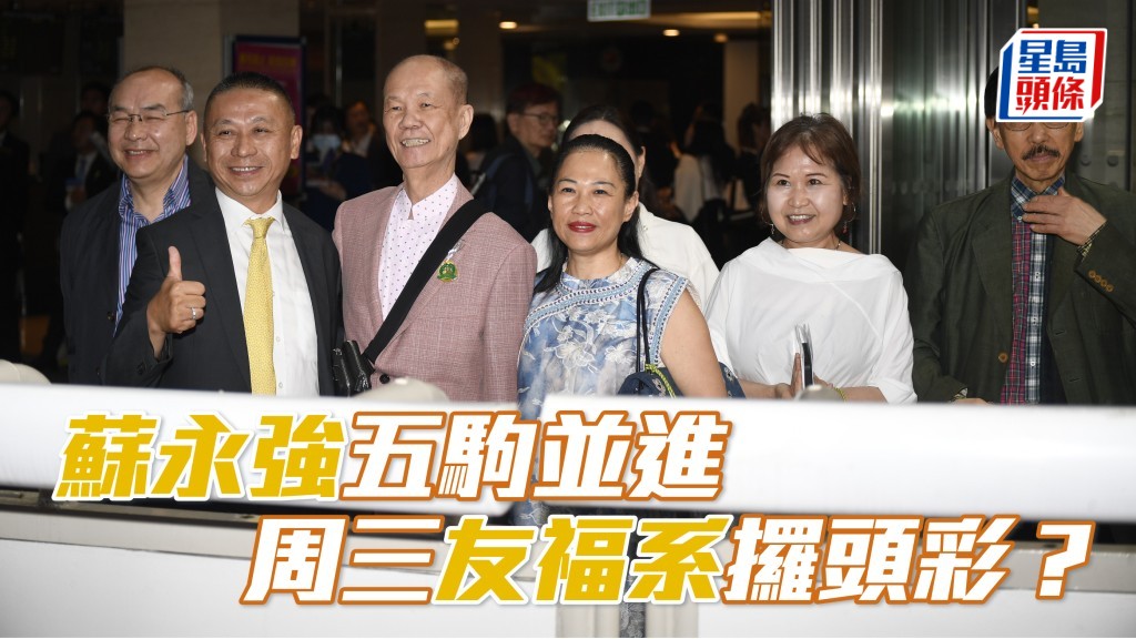 苏永强五驹并进 「喆喆友福」攞头彩？