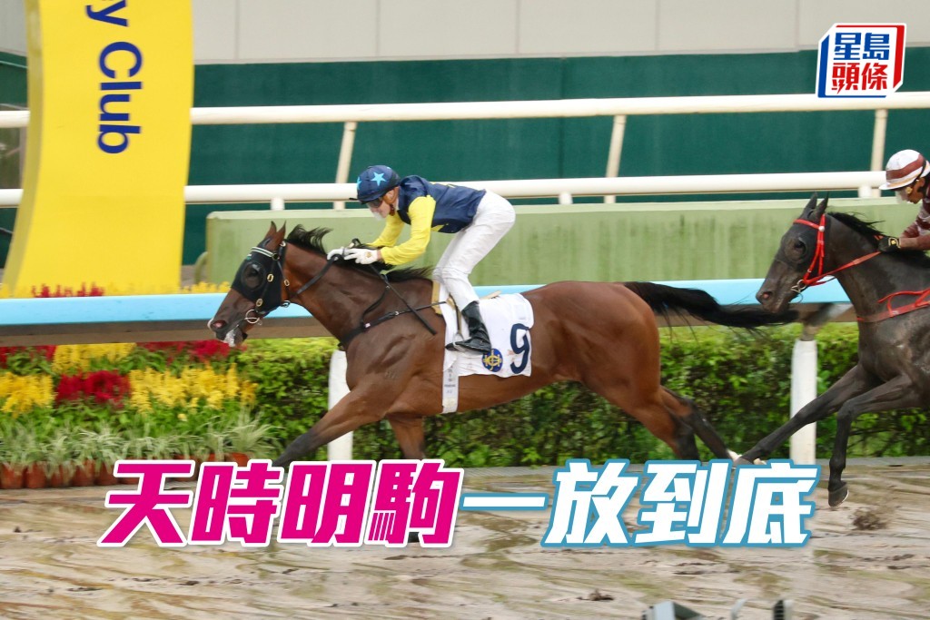 「天時明駒」一放到底